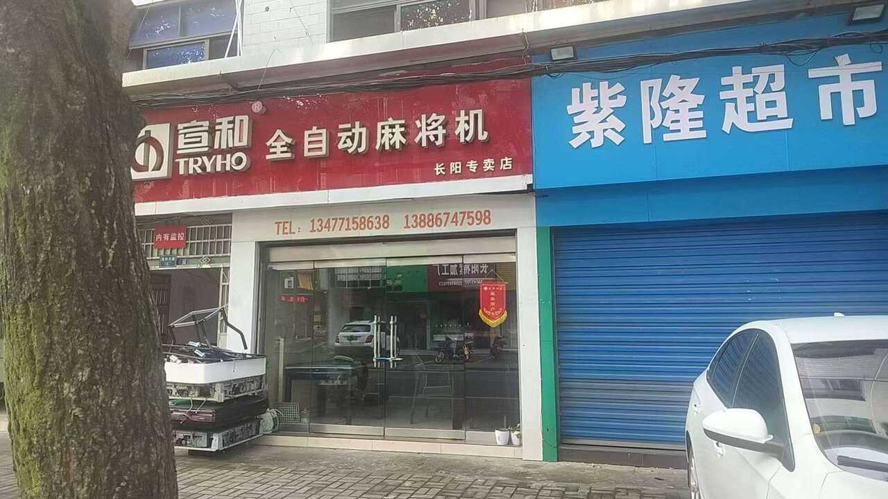 龙星拍店，拍到就赚到！ 