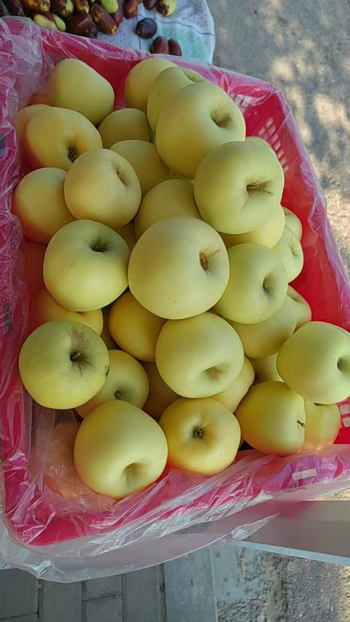 黄元帅苹果秋日风味指南